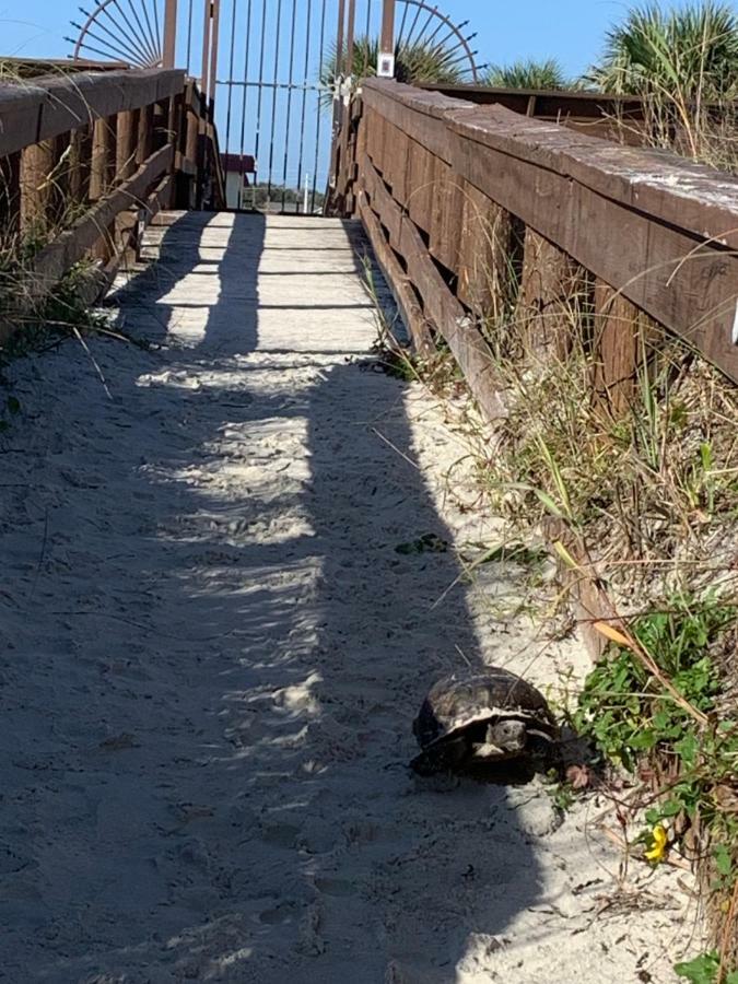 St. Augustine Ocean & Racquet Resort 외부 사진